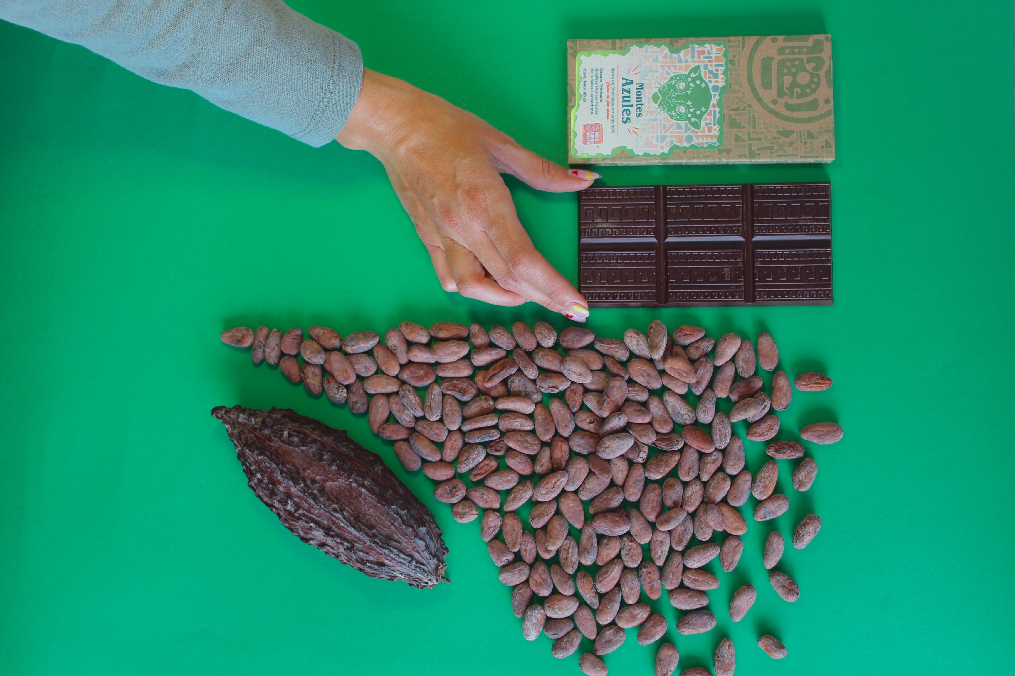 Chocolate amargo al 90% cacao trinitario de la biosfera montes azules